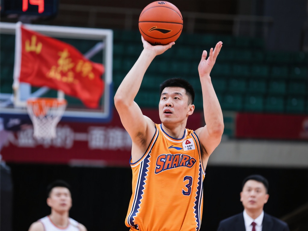 近年来在国 近年来在国